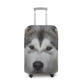 Чехол для чемодана 3D с принтом Хаски в Тюмени, 86% полиэфир, 14% спандекс | двустороннее нанесение принта, прорези для ручек и колес | волк | маламут | собака | хаски | щенок
