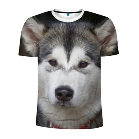 Мужская футболка 3D спортивная с принтом Хаски в Тюмени, 100% полиэстер с улучшенными характеристиками | приталенный силуэт, круглая горловина, широкие плечи, сужается к линии бедра | волк | маламут | собака | хаски | щенок