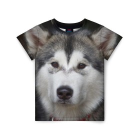Детская футболка 3D с принтом Хаски в Тюмени, 100% гипоаллергенный полиэфир | прямой крой, круглый вырез горловины, длина до линии бедер, чуть спущенное плечо, ткань немного тянется | Тематика изображения на принте: волк | маламут | собака | хаски | щенок