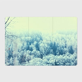 Магнитный плакат 3Х2 с принтом Снежный лес в Тюмени, Полимерный материал с магнитным слоем | 6 деталей размером 9*9 см | Тематика изображения на принте: деревья | зима | лес | природа
