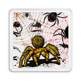 Магнит 55*55 с принтом Тарантул в Тюмени, Пластик | Размер: 65*65 мм; Размер печати: 55*55 мм | spider | паук | паутина | тарантул