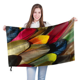 Флаг 3D с принтом Перья в Тюмени, 100% полиэстер | плотность ткани — 95 г/м2, размер — 67 х 109 см. Принт наносится с одной стороны | перо | попугай | птица | радуга | радужный