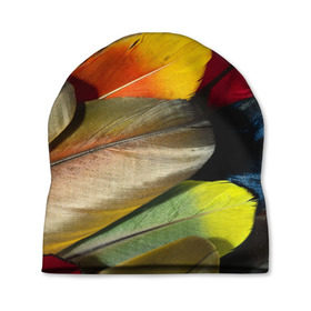 Шапка 3D с принтом Перья в Тюмени, 100% полиэстер | универсальный размер, печать по всей поверхности изделия | перо | попугай | птица | радуга | радужный