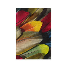Обложка для паспорта матовая кожа с принтом Перья в Тюмени, натуральная матовая кожа | размер 19,3 х 13,7 см; прозрачные пластиковые крепления | перо | попугай | птица | радуга | радужный