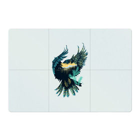 Магнитный плакат 3Х2 с принтом Орел в Тюмени, Полимерный материал с магнитным слоем | 6 деталей размером 9*9 см | Тематика изображения на принте: беркут | кречет | орел | природа | птица | ястреб