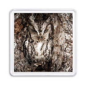 Магнит 55*55 с принтом Камуфляж сова в Тюмени, Пластик | Размер: 65*65 мм; Размер печати: 55*55 мм | дерево | пернатая | птица | филин