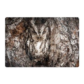 Магнитный плакат 3Х2 с принтом Камуфляж сова в Тюмени, Полимерный материал с магнитным слоем | 6 деталей размером 9*9 см | дерево | пернатая | птица | филин