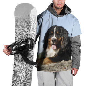 Накидка на куртку 3D с принтом Бернский зенненхунд в Тюмени, 100% полиэстер |  | Тематика изображения на принте: голубое небо | друг человека | животное | красивая | милая | овчарка | пес | породистая собака | породы | прикольная | природа | рыжий | черный | щенок