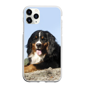 Чехол для iPhone 11 Pro матовый с принтом Бернский зенненхунд в Тюмени, Силикон |  | голубое небо | друг человека | животное | красивая | милая | овчарка | пес | породистая собака | породы | прикольная | природа | рыжий | черный | щенок