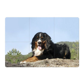 Магнитный плакат 3Х2 с принтом Бернский зенненхунд в Тюмени, Полимерный материал с магнитным слоем | 6 деталей размером 9*9 см | Тематика изображения на принте: голубое небо | друг человека | животное | красивая | милая | овчарка | пес | породистая собака | породы | прикольная | природа | рыжий | черный | щенок
