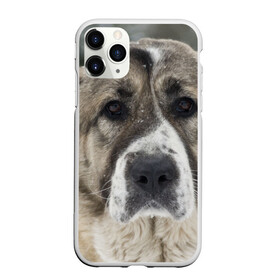 Чехол для iPhone 11 Pro матовый с принтом САО (алабай) в Тюмени, Силикон |  | большая огромная | грозная | добрая | друг человека | животное | красивая | милая | пес | породистая собака | породы | прикольная | сао алабай | щенок