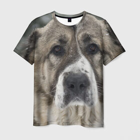 Мужская футболка 3D с принтом САО (алабай) в Тюмени, 100% полиэфир | прямой крой, круглый вырез горловины, длина до линии бедер | большая огромная | грозная | добрая | друг человека | животное | красивая | милая | пес | породистая собака | породы | прикольная | сао алабай | щенок