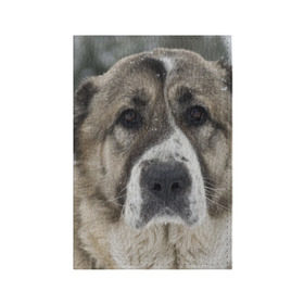 Обложка для паспорта матовая кожа с принтом САО (алабай) в Тюмени, натуральная матовая кожа | размер 19,3 х 13,7 см; прозрачные пластиковые крепления | Тематика изображения на принте: большая огромная | грозная | добрая | друг человека | животное | красивая | милая | пес | породистая собака | породы | прикольная | сао алабай | щенок