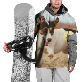Накидка на куртку 3D с принтом Счастье в Тюмени, 100% полиэстер |  | друг человека | животное | игра | красивая | ловит | маленький | милая | мяч | на природе | пес | породистая собака | породы | прикольная | счастливый | щенок