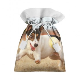 Подарочный 3D мешок с принтом Счастье в Тюмени, 100% полиэстер | Размер: 29*39 см | друг человека | животное | игра | красивая | ловит | маленький | милая | мяч | на природе | пес | породистая собака | породы | прикольная | счастливый | щенок