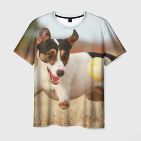 Мужская футболка 3D с принтом Счастье в Тюмени, 100% полиэфир | прямой крой, круглый вырез горловины, длина до линии бедер | друг человека | животное | игра | красивая | ловит | маленький | милая | мяч | на природе | пес | породистая собака | породы | прикольная | счастливый | щенок