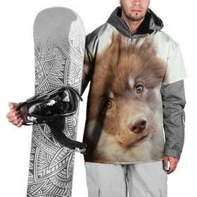 Накидка на куртку 3D с принтом Милый в Тюмени, 100% полиэстер |  | друг человека | животное | красивая | маленький | милая | милый взгляд | пес | песик | породистая собака | породы | прикольная | рыжий | щенок