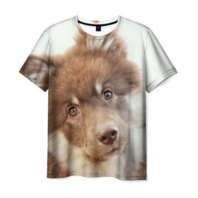 Мужская футболка 3D с принтом Милый в Тюмени, 100% полиэфир | прямой крой, круглый вырез горловины, длина до линии бедер | друг человека | животное | красивая | маленький | милая | милый взгляд | пес | песик | породистая собака | породы | прикольная | рыжий | щенок