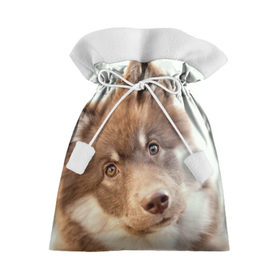 Подарочный 3D мешок с принтом Милый в Тюмени, 100% полиэстер | Размер: 29*39 см | друг человека | животное | красивая | маленький | милая | милый взгляд | пес | песик | породистая собака | породы | прикольная | рыжий | щенок
