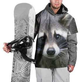 Накидка на куртку 3D с принтом Озадаченный енот в Тюмени, 100% полиэстер |  | добрый | енот | животное | зверек | зверь | красивый | милое | милый | полоски серые | полоскун | прикольный | природа | усатый | фауна | флора | хищник | черный | шерсть