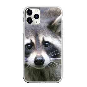 Чехол для iPhone 11 Pro матовый с принтом Озадаченный енот в Тюмени, Силикон |  | добрый | енот | животное | зверек | зверь | красивый | милое | милый | полоски серые | полоскун | прикольный | природа | усатый | фауна | флора | хищник | черный | шерсть