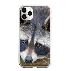 Чехол для iPhone 11 Pro матовый с принтом Енот в Тюмени, Силикон |  | барсук | добрый | енот | животное | зверек | зверь | красивый | крошка | милое | милый | полоски серые | полоскун | прикольный | природа | скунс | усатый | фауна | флора | хищник | черный | шерсть