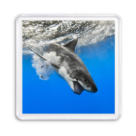 Магнит 55*55 с принтом Акула в Тюмени, Пластик | Размер: 65*65 мм; Размер печати: 55*55 мм | shark | море | синий | челюсти