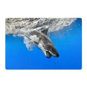 Магнитный плакат 3Х2 с принтом Акула в Тюмени, Полимерный материал с магнитным слоем | 6 деталей размером 9*9 см | shark | море | синий | челюсти