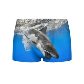 Мужские трусы 3D с принтом Акула в Тюмени, 50% хлопок, 50% полиэстер | классическая посадка, на поясе мягкая тканевая резинка | Тематика изображения на принте: shark | море | синий | челюсти