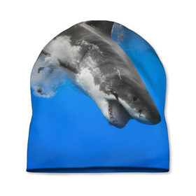 Шапка 3D с принтом Акула в Тюмени, 100% полиэстер | универсальный размер, печать по всей поверхности изделия | shark | море | синий | челюсти