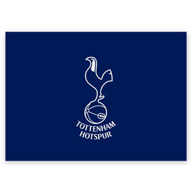 Поздравительная открытка с принтом Tottenham hotspur в Тюмени, 100% бумага | плотность бумаги 280 г/м2, матовая, на обратной стороне линовка и место для марки
 | football | англия | болельщик | игрок | лондон | премьер лига | тоттенхэм хотспур | фанат | футбол | футболист | шпоры