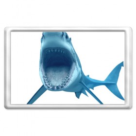 Магнит 45*70 с принтом Акула в Тюмени, Пластик | Размер: 78*52 мм; Размер печати: 70*45 | shark | челюсти