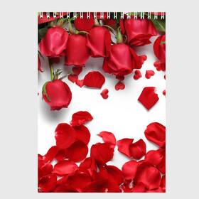 Скетчбук с принтом Сильные чуства в Тюмени, 100% бумага
 | 48 листов, плотность листов — 100 г/м2, плотность картонной обложки — 250 г/м2. Листы скреплены сверху удобной пружинной спиралью | желтый | красный | любовь | новинки | подарок | розы | сердце | текстура | тюльпаны | цветы