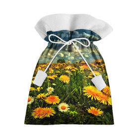 Подарочный 3D мешок с принтом Одуванчики в Тюмени, 100% полиэстер | Размер: 29*39 см | Тематика изображения на принте: пейзаж | поле | цветы