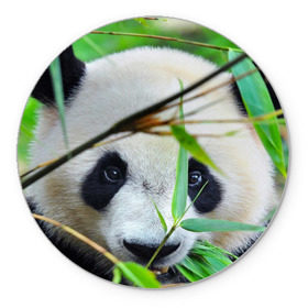 Коврик круглый с принтом Панда в лесу в Тюмени, резина и полиэстер | круглая форма, изображение наносится на всю лицевую часть | Тематика изображения на принте: бамбук | животное | медведь