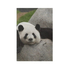 Обложка для паспорта матовая кожа с принтом Панда на камушке в Тюмени, натуральная матовая кожа | размер 19,3 х 13,7 см; прозрачные пластиковые крепления | бамбук | животное | медведь
