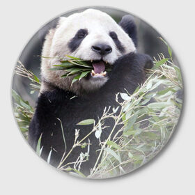 Значок с принтом Панда кушает в Тюмени,  металл | круглая форма, металлическая застежка в виде булавки | бамбук | животное | медведь