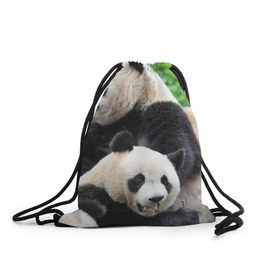 Рюкзак-мешок 3D с принтом Панды в Тюмени, 100% полиэстер | плотность ткани — 200 г/м2, размер — 35 х 45 см; лямки — толстые шнурки, застежка на шнуровке, без карманов и подкладки | бамбук | животное | медведь