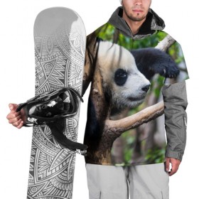 Накидка на куртку 3D с принтом Бамбуковый медведь в Тюмени, 100% полиэстер |  | бамбук | животное | медведь