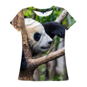 Женская футболка 3D с принтом Бамбуковый медведь в Тюмени, 100% полиэфир ( синтетическое хлопкоподобное полотно) | прямой крой, круглый вырез горловины, длина до линии бедер | бамбук | животное | медведь