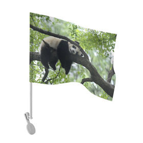 Флаг для автомобиля с принтом Панда спит на ветке в Тюмени, 100% полиэстер | Размер: 30*21 см | бамбук | животное | медведь