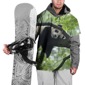 Накидка на куртку 3D с принтом Панда спит на ветке в Тюмени, 100% полиэстер |  | бамбук | животное | медведь