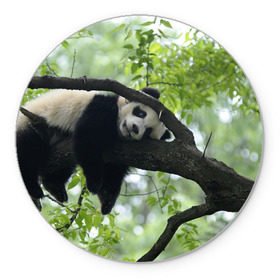 Коврик круглый с принтом Панда спит на ветке в Тюмени, резина и полиэстер | круглая форма, изображение наносится на всю лицевую часть | бамбук | животное | медведь