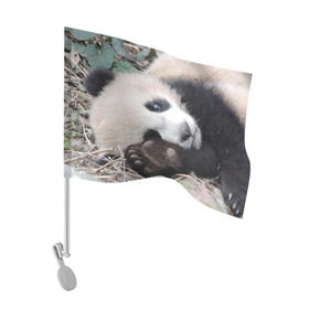 Флаг для автомобиля с принтом Лапка панда в Тюмени, 100% полиэстер | Размер: 30*21 см | бамбук | животное | медведь