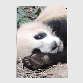 Постер с принтом Лапка панда в Тюмени, 100% бумага
 | бумага, плотность 150 мг. Матовая, но за счет высокого коэффициента гладкости имеет небольшой блеск и дает на свету блики, но в отличии от глянцевой бумаги не покрыта лаком | бамбук | животное | медведь