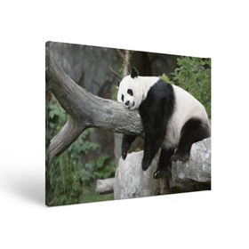 Холст прямоугольный с принтом Большая уставшая панда в Тюмени, 100% ПВХ |  | бамбук | животное | медведь