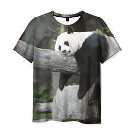 Мужская футболка 3D с принтом Большая уставшая панда в Тюмени, 100% полиэфир | прямой крой, круглый вырез горловины, длина до линии бедер | бамбук | животное | медведь