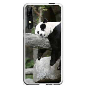 Чехол для Honor P Smart Z с принтом Большая уставшая панда в Тюмени, Силикон | Область печати: задняя сторона чехла, без боковых панелей | бамбук | животное | медведь