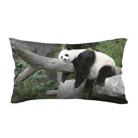 Подушка 3D антистресс с принтом Большая уставшая панда в Тюмени, наволочка — 100% полиэстер, наполнитель — вспененный полистирол | состоит из подушки и наволочки на молнии | бамбук | животное | медведь