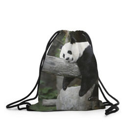 Рюкзак-мешок 3D с принтом Большая уставшая панда в Тюмени, 100% полиэстер | плотность ткани — 200 г/м2, размер — 35 х 45 см; лямки — толстые шнурки, застежка на шнуровке, без карманов и подкладки | бамбук | животное | медведь